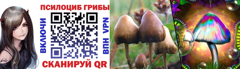 наркошоп  Махачкала  ссылка на мегу рабочий сайт  Псилоцибиновые грибы Cubensis 
