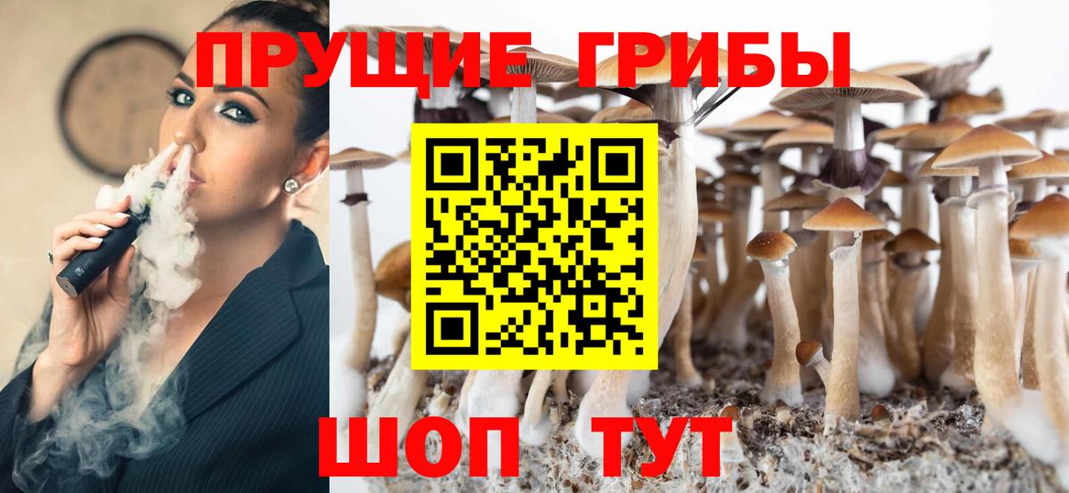 купить закладку  Галлюциногенные грибы Magic Shrooms  Вход с VPN  Махачкала 