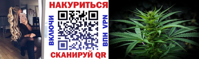 mega зеркало  магазин продажи   даркнет клад  Каннабис семена  Махачкала 